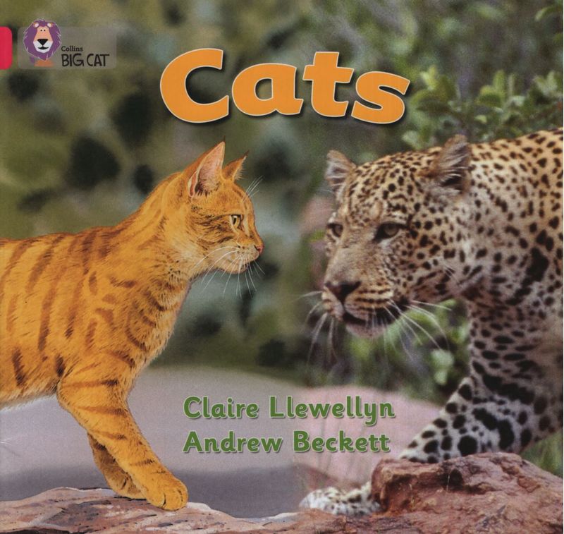 0VqvMVXo9RCdvnVjk4A5T7C1MLs=