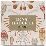 u+mlcwHYjAmT5xLjuseAkqwKNko=