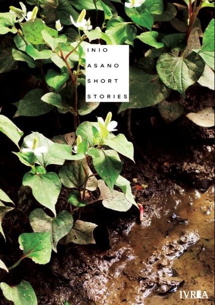 4JyOS8uKgtvwvkw1ZJDK+AkQAFI=