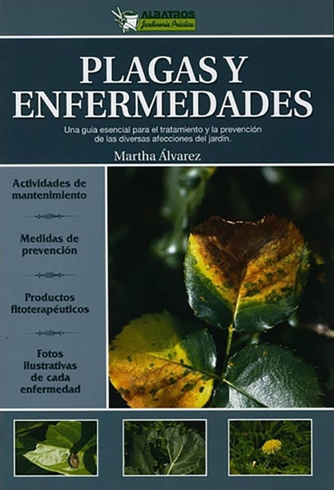 8OfIau4y30VG41vicufiPYGF0Rc=