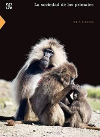 05XfUh48Qr3b7Nhm4FNZ0MwQMHg=