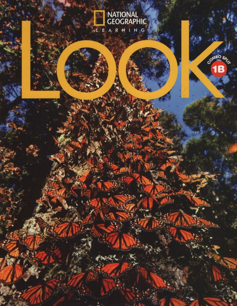 NgzhQWmSIaEYT0wrwblXrOYVnYk=