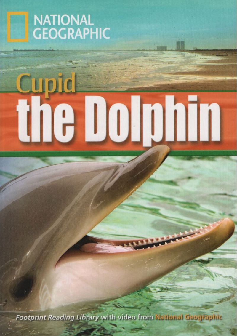 va32hatKJttbzQHCFRhdcsVYfzo=