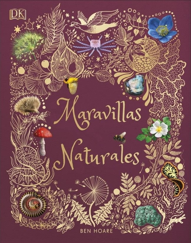 92DDZrHlGLgl8t31p5Y7leYvHcQ=