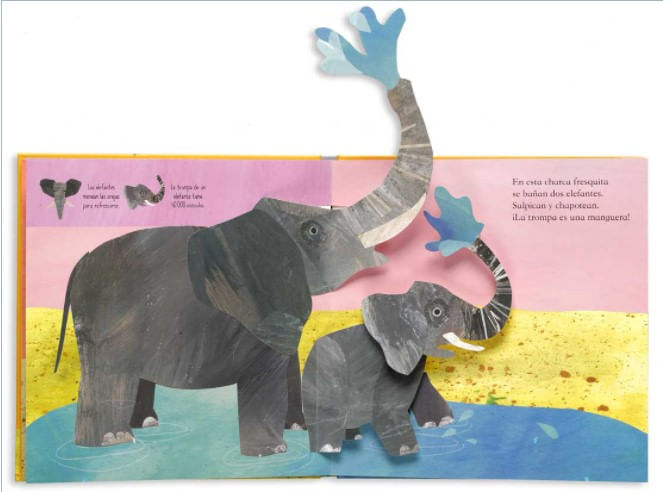 c8c640MiqYr8ILa65shPjdGfYVA=