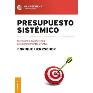 PRESUPUESTO SISTEMICO - ENRIQUE HERRSCHER