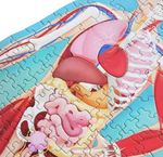 eGqidCdxr/6OdOifFEP/8IAEHO8=