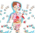 Y3Jegqt2DXYEMOV+cZLzhXIPx4c=