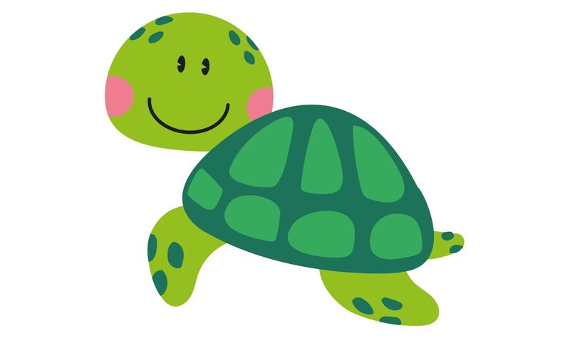 zVyx7aaRVJ6VAzplRancAWFkjos=