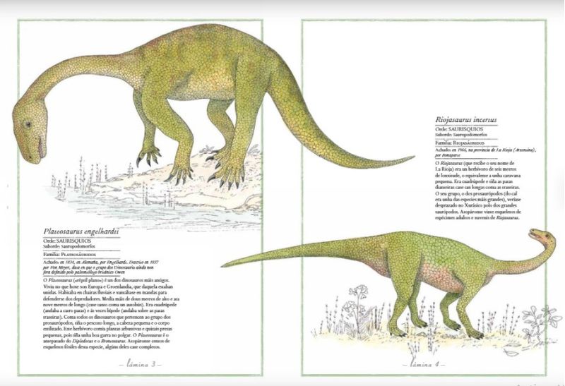 8njZN0+jfDTMbOFacj9eQun6idE=