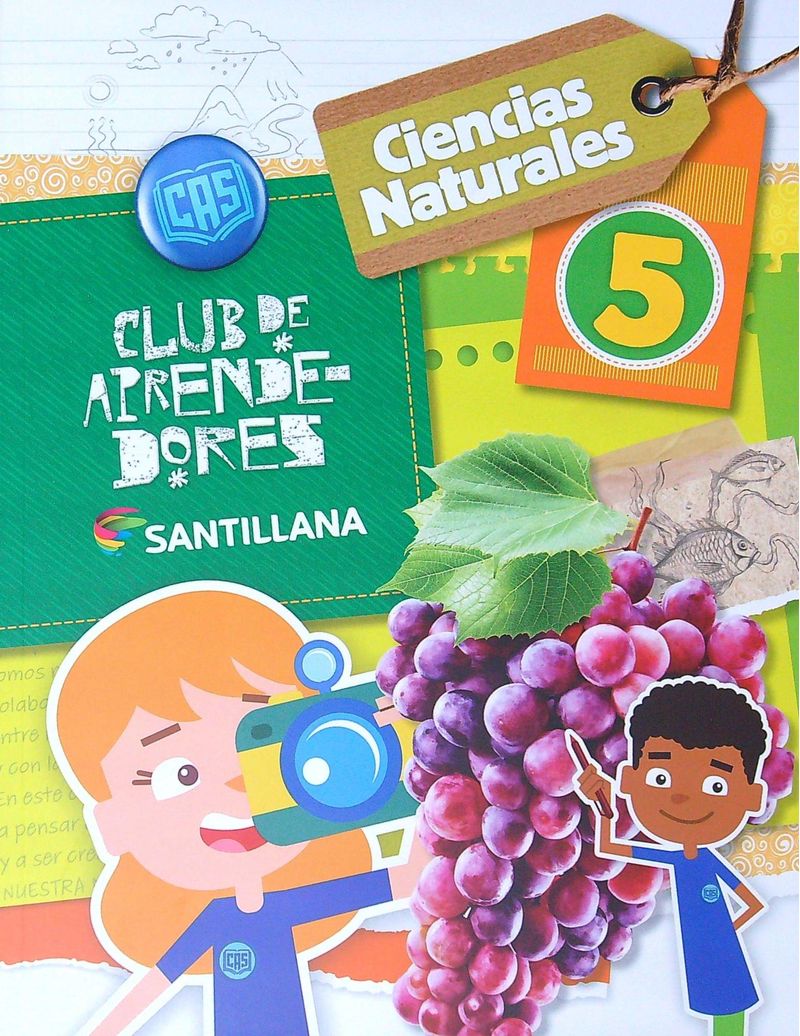 ayLzQkLaKUWgdBoUNds1UFUDh4E=