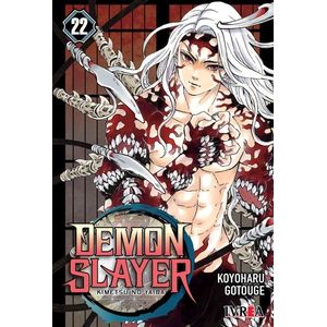 DEMON SLAYER - KIMETSU NO YAIBA 22