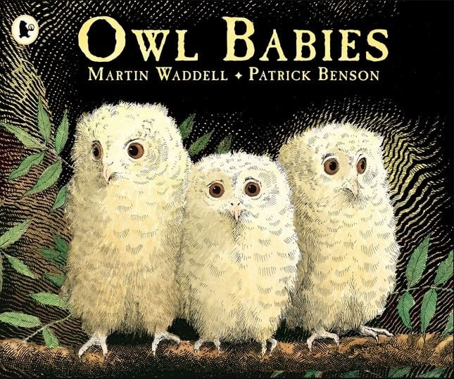 z2r9wRSNLteshJjB5HGJ6pOAfZA=