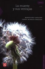 PP+vTMZNd47mC0RvbS+bvp3cuWI=