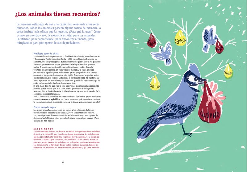 tdC+ZpGtJiwP57tVHy6w+T2ZO/Q=