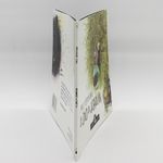 TVcCEhyQ+ghizPHA1patuA+Sc7Q=