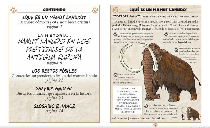 VuELMg+jyYflUbwj1SOSI6fLYrE=