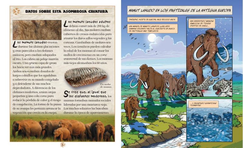 hmD98tLIewdmArwuANJ2PIh1F1w=