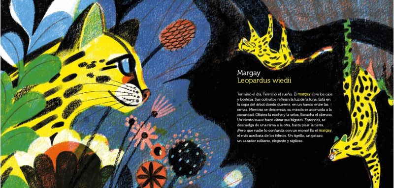 BEMCcP/Plq26yeWRtDkIqP2Bjao=