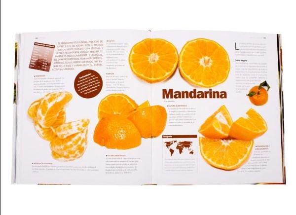 W/uInlo4Z87cjvu2WyM9XCAbciU=