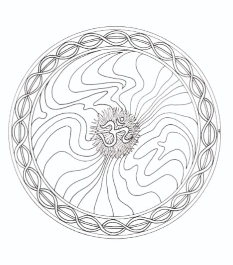 F9TqJihoX4LMUjsNC0iouL7uN5g=