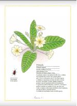 okn10nzDWsHlaLLIOAu6swgseWA=