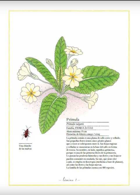 okn10nzDWsHlaLLIOAu6swgseWA=