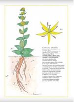 dp3UHAorRz0fnhfqFIp2T+y0mQ0=