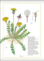 LODHXQqHBVPiWkHKaIKoW/UwJbA=