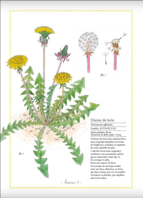 LODHXQqHBVPiWkHKaIKoW/UwJbA=