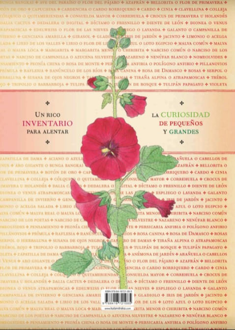 fo2WmOtIck/LETUDr63m0sir2Zk=