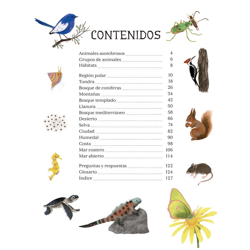 BZkS8xyE90Boo4q0qkwYN7S94Sk=