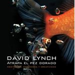 xCdhHZCkFqLU650kNDhke+ZksU8=