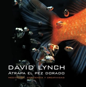 xCdhHZCkFqLU650kNDhke+ZksU8=