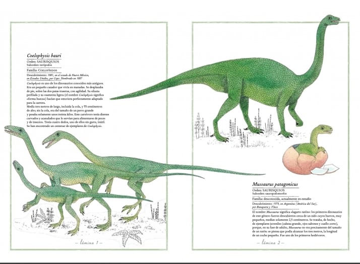 uqvcdZua/V34vXLnbA+/8SNh/mQ=