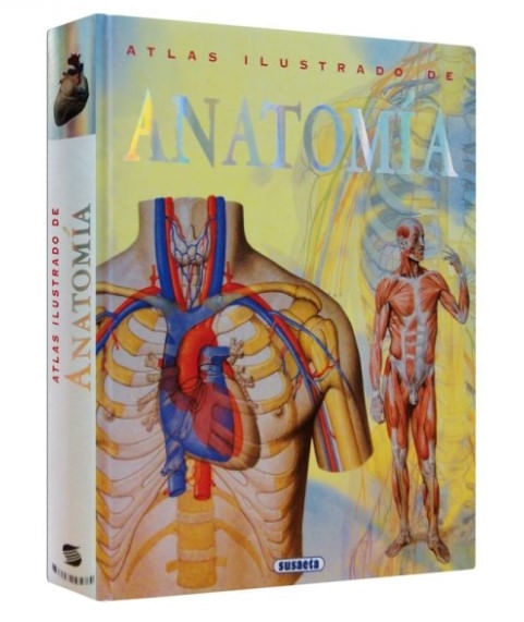 ijcR3KzuH5PLTrGbxVJ3TZ/c/Ms=