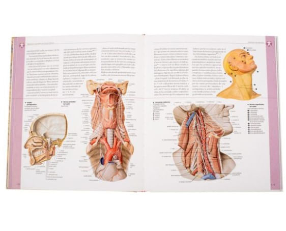 c+e6hRuQfsHBQ0uvQE66DEL6bmw=