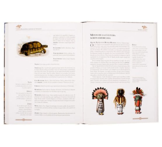 oF6YWNfrpoopazb2lDqwN9PmMnc=