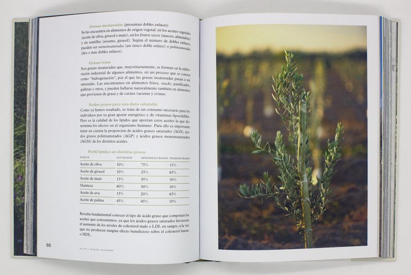 Yu8rwDxv56XGK3G50XRW8COVtB0=