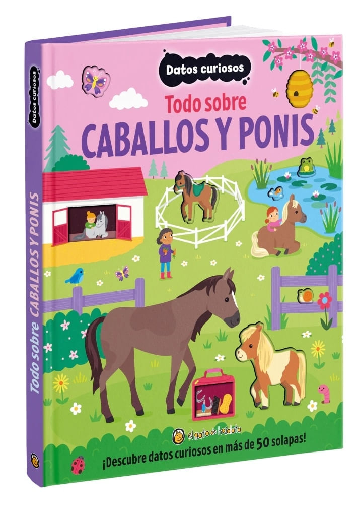 Kpp3TeXLGbbD7oPB3p/u7uvPq7w=