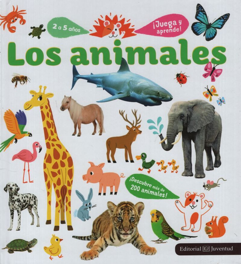 aXOFgSrPFBcnh0ndJl1rw1LXhOU=