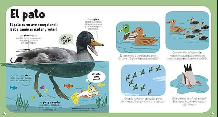 BNJYgfiMYSRSOd8UjUjDWMH/E7I=