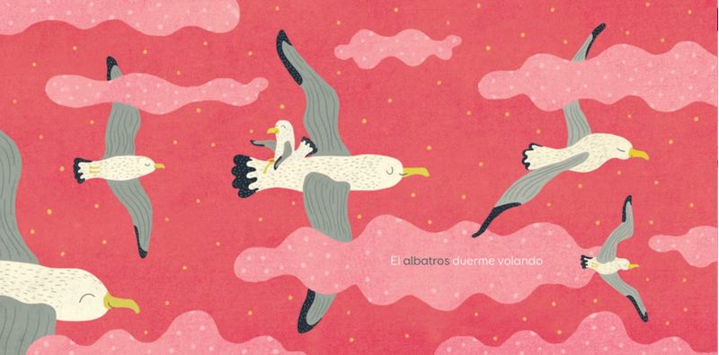 SOuCakAPnB/qDIWJFnkkw/zdr0U=
