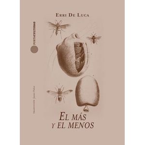 EL MAS Y MENOS - ERRI DE LUCA