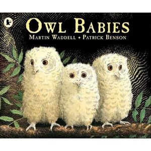 OWL BABIES  - MARTIN WADDELL