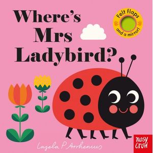 WHERE'S MRS LADYBIRD? - FELT FLAPS AND A MIRROR
